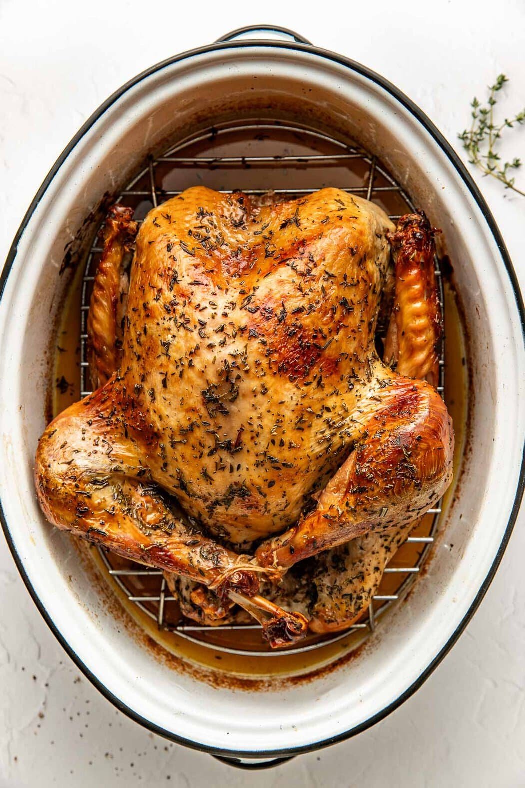 Roast Turkey Unpacked: From Holiday Tradition to Everyday Culinary Delight
